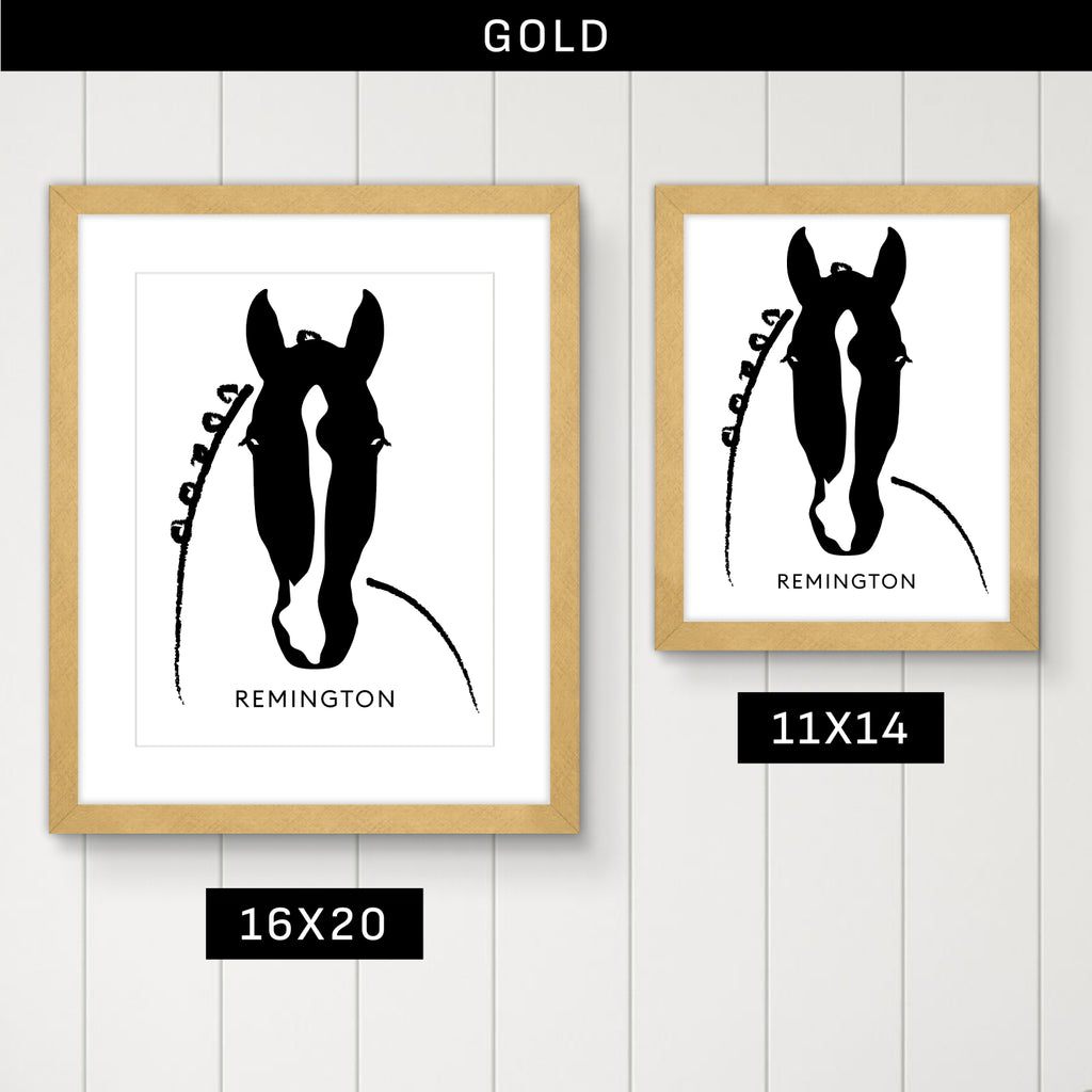 Custom Framed Horse Silhouette, Personalized with Your Horse's Markings